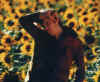 bruno tournesols.JPG (977244 octets)